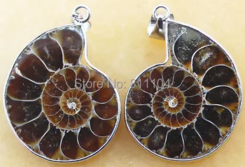 25mm - 35mm Metalo Suvynioti Gamtos Ammonite shell akmens Pakabukas Rutuliuko 10 Porų/Daug didmeninės